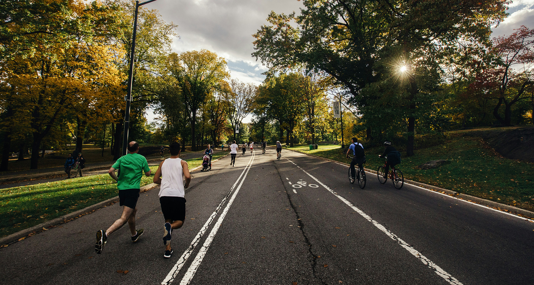 Runners and cyclists on a tree-lined park road